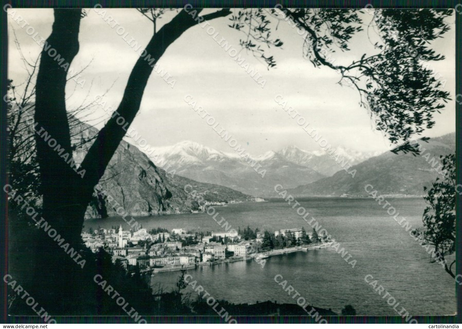 Como Menaggio Lago di Como Foto FG cartolina KB4376