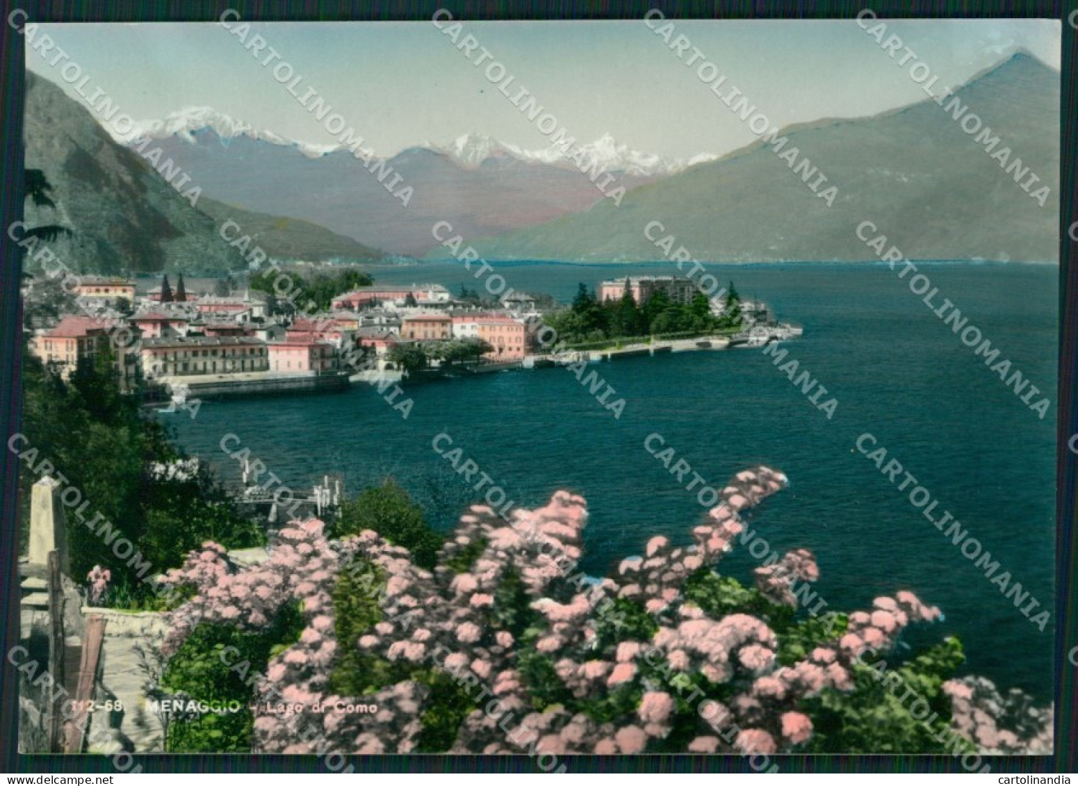 Como Menaggio Lago di Como Foto FG cartolina KB4462