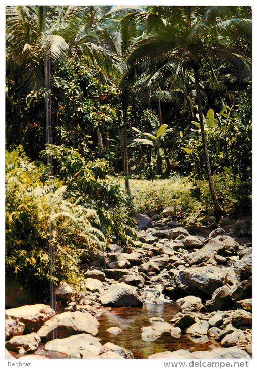 COMORES       ANJOUAN       RIVIERE DE HANGOUE