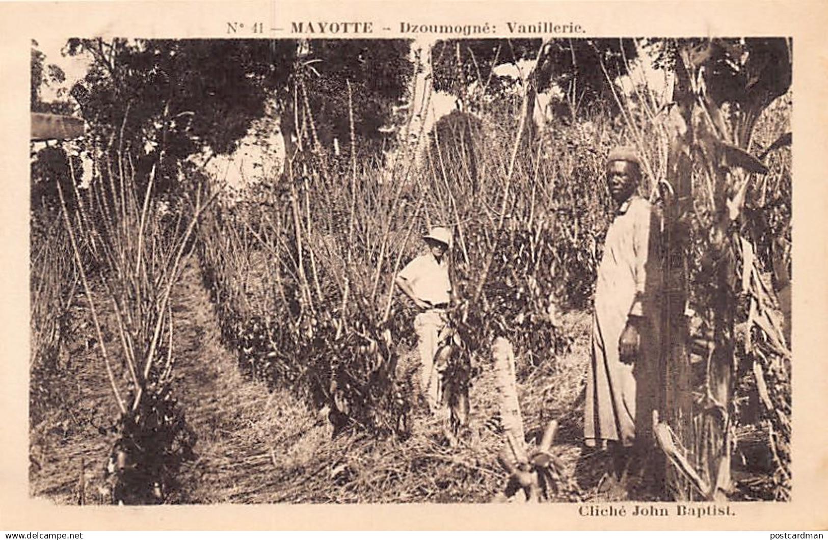 Comores - MAYOTTE - Dzoumogné - Vanillerie - Plantation de vanille - Cliché John Baptist - Ed. Issoufali 41