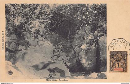 Comores - ANJOUAN - Sous-bois - Publ. Essivda 3