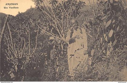 Comores - ANJOUAN - Une vanillerie - Plantation de vanille - Ed. Société Commerciale de Bambao