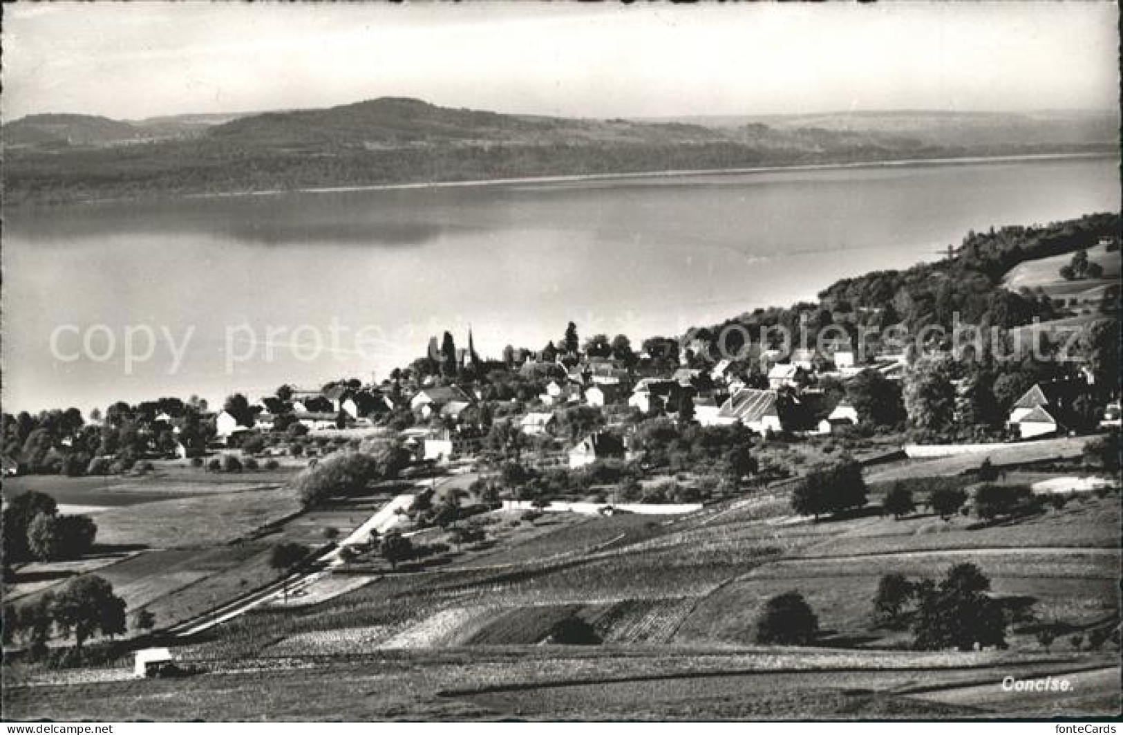 Concise Panorama