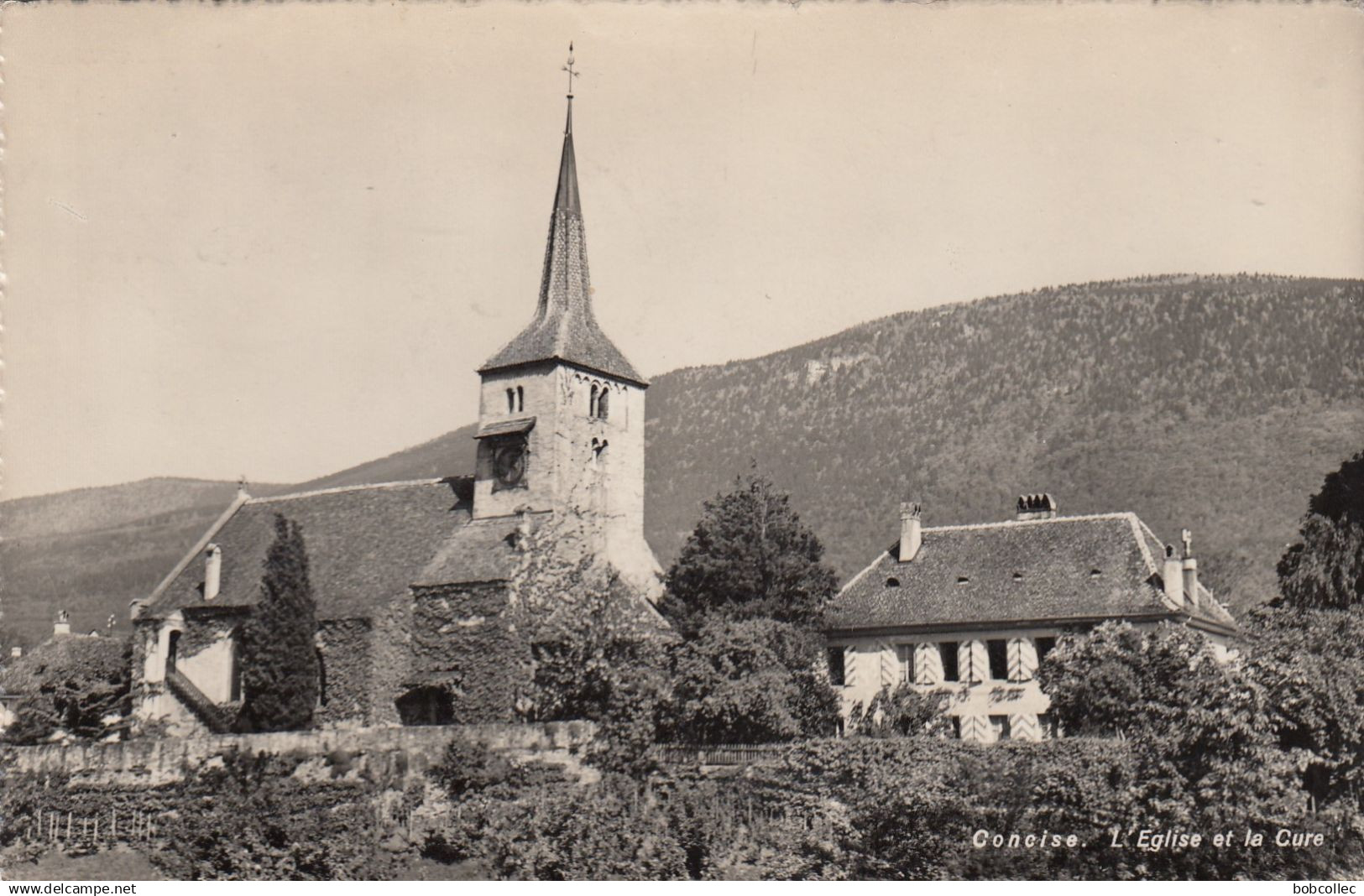 CONCISE (Vaud): L'Eglise et la Cu