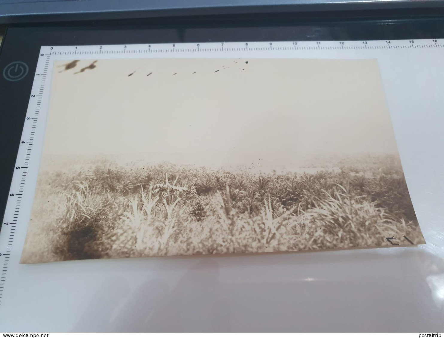 CONGO BELGA BELGE. RPPC. PANORAMA FOKO