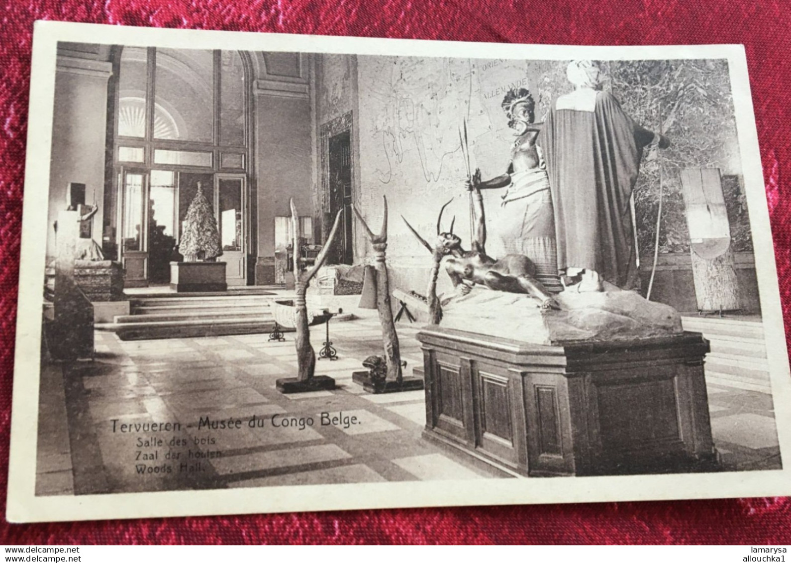 Congo Belge-Tervuren  Musée du Congo salle des bois  Afrique Congo - Kinshasa (ex Zaire) -Carte Postale-CPA
