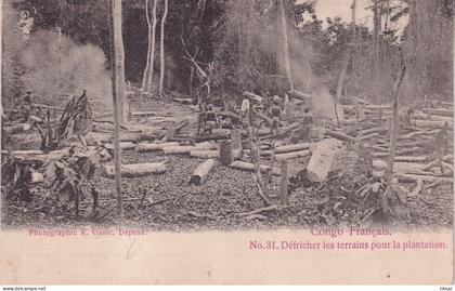 CONGO(ARBRE) DEFRICHAGE