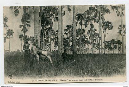 AK 157011 CONGO - Congo-Francais - Clairon en tournée dans une foret de Borassus