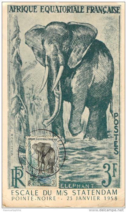 pointe noire carte maximum éléphant