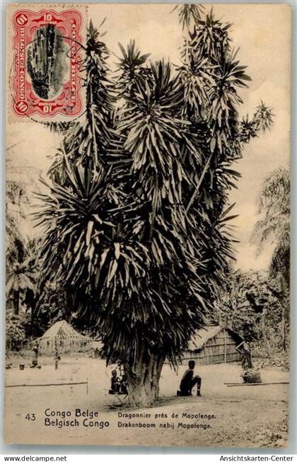 13307363 - Kinshasa Léopoldville