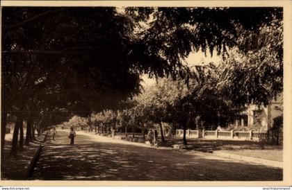 CPA Lubumbashi Elisabethville DR Kongo Zaire, Avenue de Sankuru