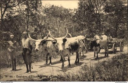 CPA Lubumbashi Elisabethville DR Kongo Zaire, Ochsengespann