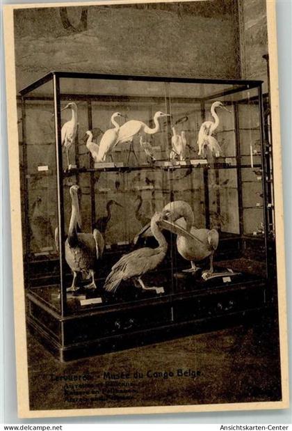 10687924 - Kinshasa Léopoldville