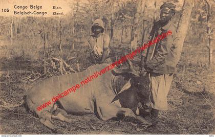 Elan eland - Congo Belge Belgisch Kongo