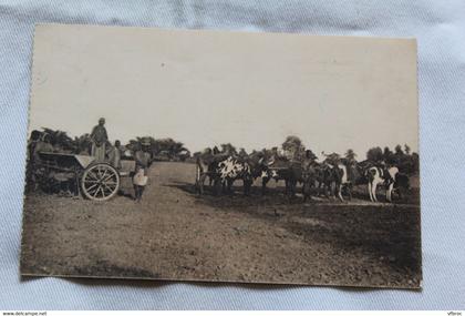 la semeuse de Kisantu, Rijstzaaien, Congo Belge, Afrique