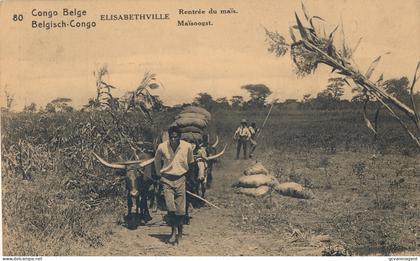 BELGISCH CONGO ELISABETHVILLE  MAÏSOOGST        -  LOOK 2 SCANS