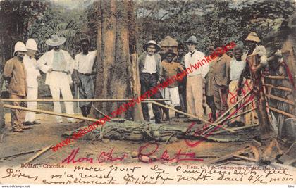 Boma - crocodile - Congo Belge Belgisch Kongo