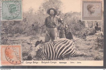 Katanga (Belgisch Congo) - Zebra
