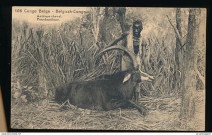 BELGISCH CONGO  - ANTILOPE CHEVAL  PAARDENANTILOPE       2 SCANS