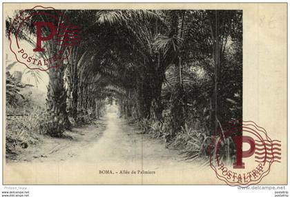 Boma - Allée de Palmiers