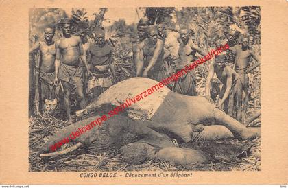 Dépecement d'un éléphant - Congo Belge Belgisch Kongo