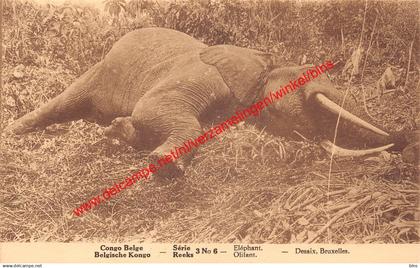 Eléphant - Congo Belge Belgisch Kongo