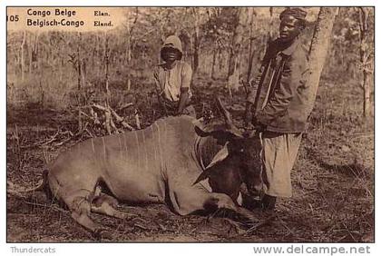 BELGISCH CONGO BELGE ** ELAN - ELAND