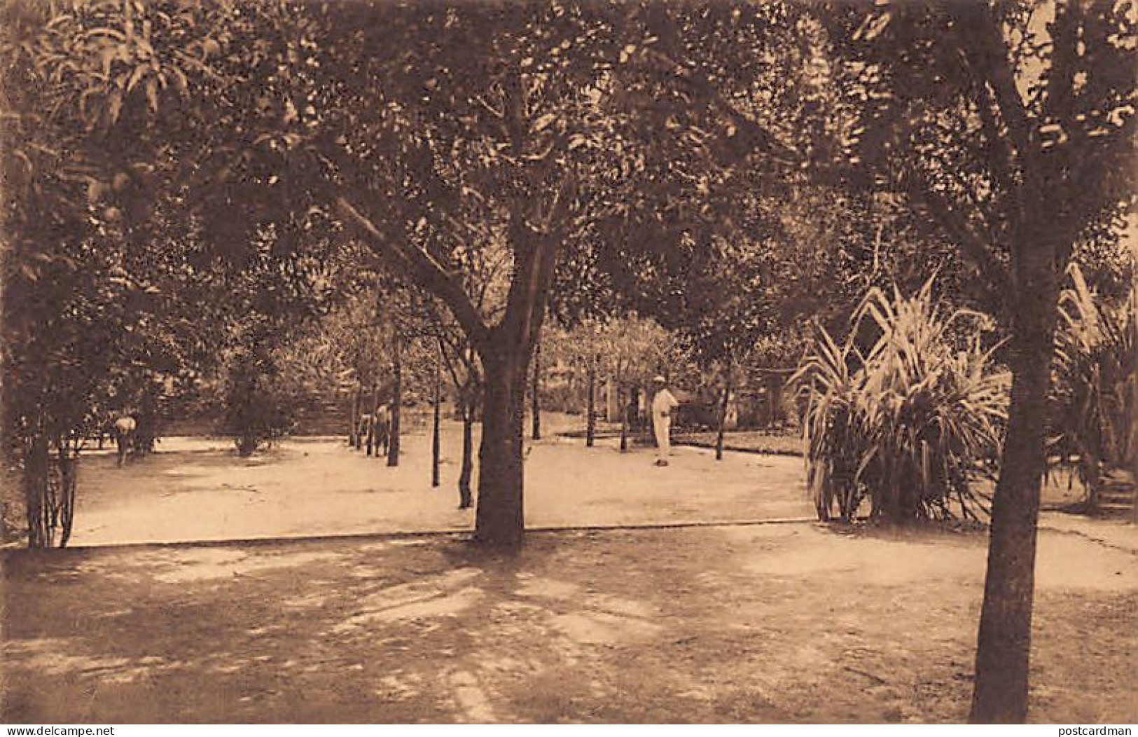 Congo - KINSHASA - Partie du parc de la Copagnie Coloniale P.E.K. - Ed. Ern. Thill