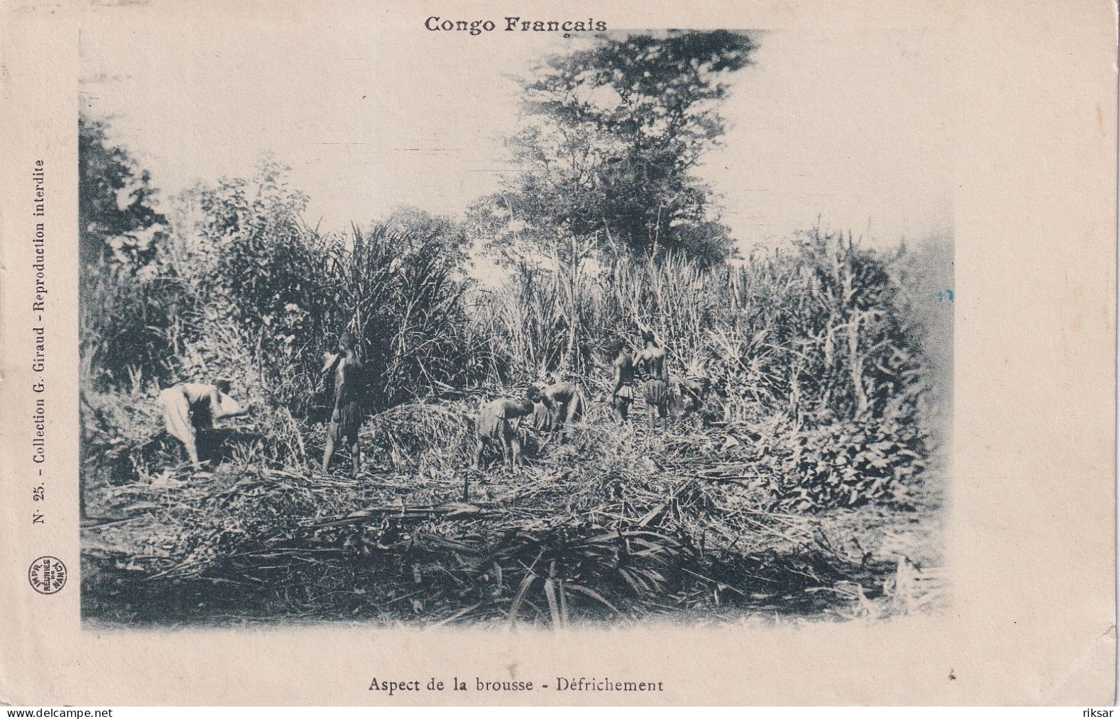 CONGO(LA BROUSSE)