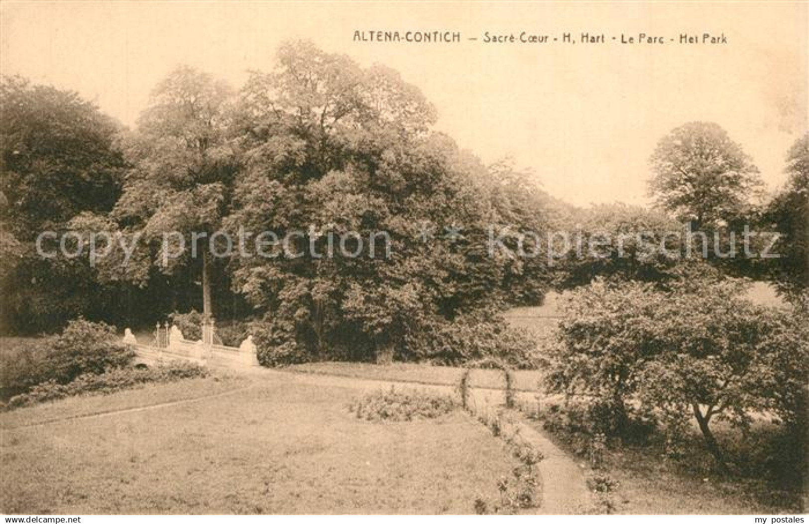 Contich Sacre Coeur Le Parc