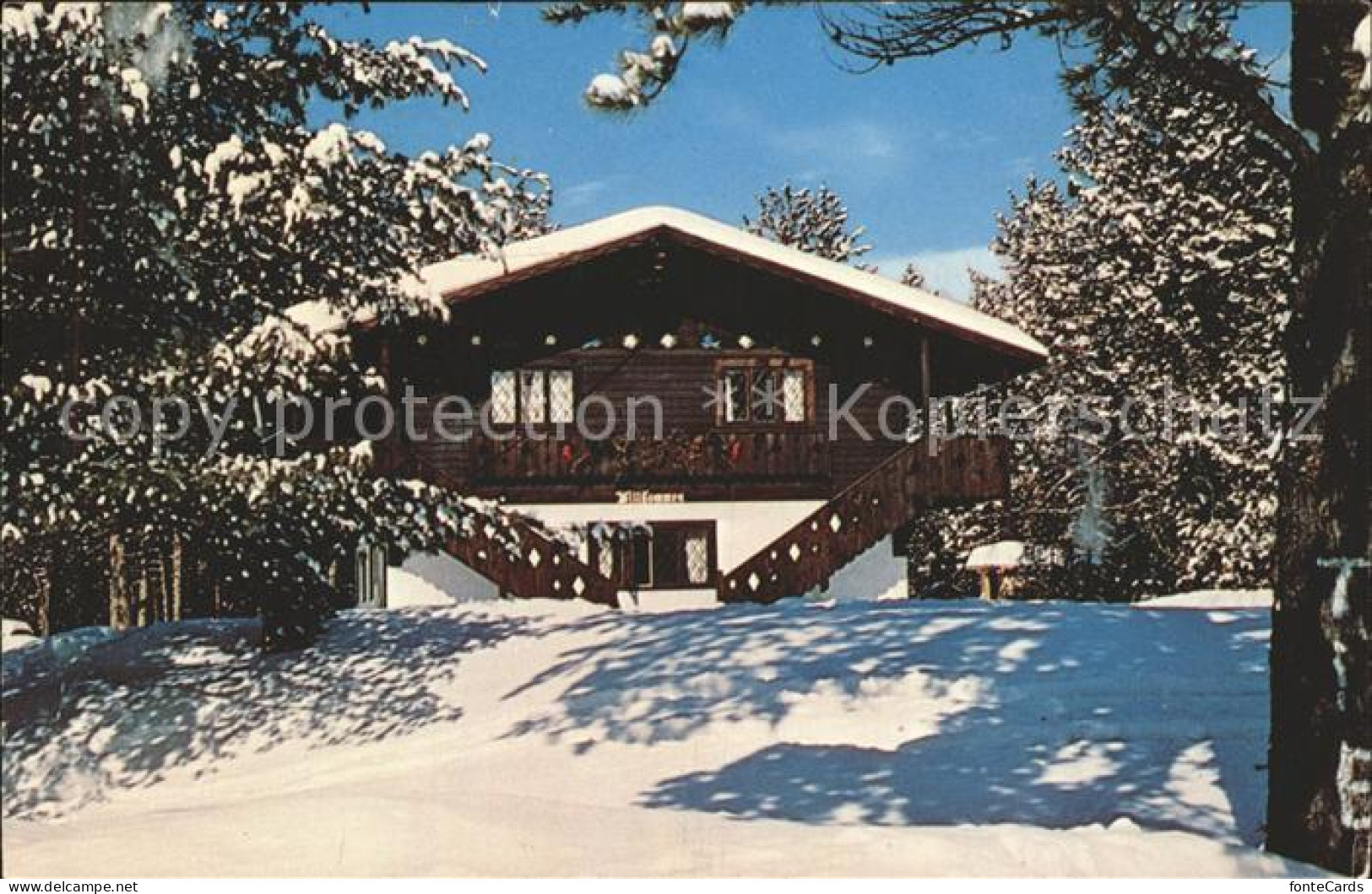 Conway New Hampshire Edelweiss