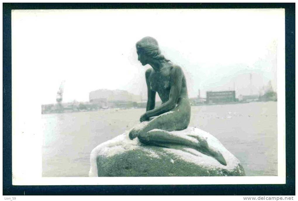 COPENHAGEN - THE LITTLE MERMAID - Denmark Danemark Danemark Danimarca 73021