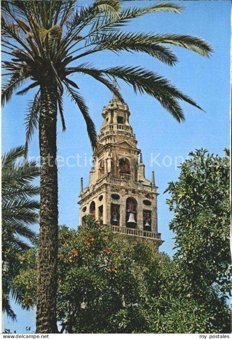 Cordoba Andalucia Clocher de la Cathedrale