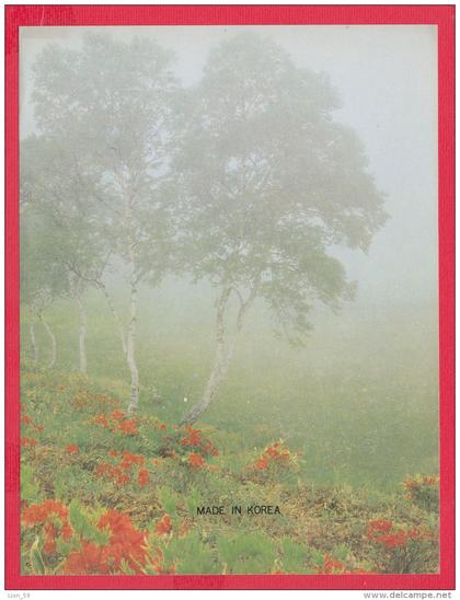 218819 / LANSCAPE - MADE IN KOREA