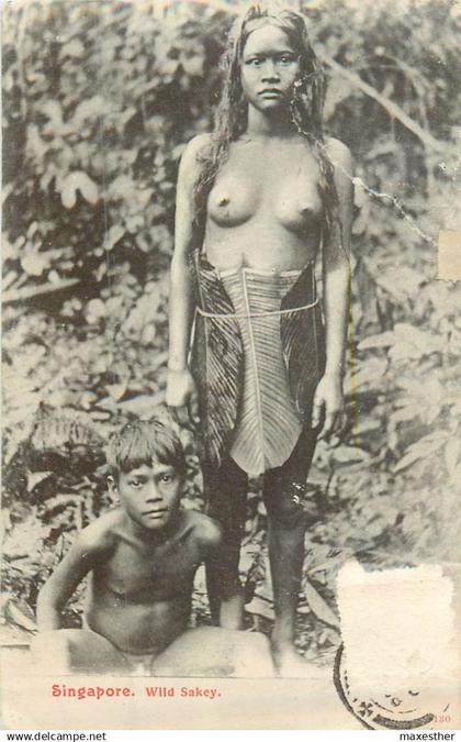 SINGAPORE Wild Sakey