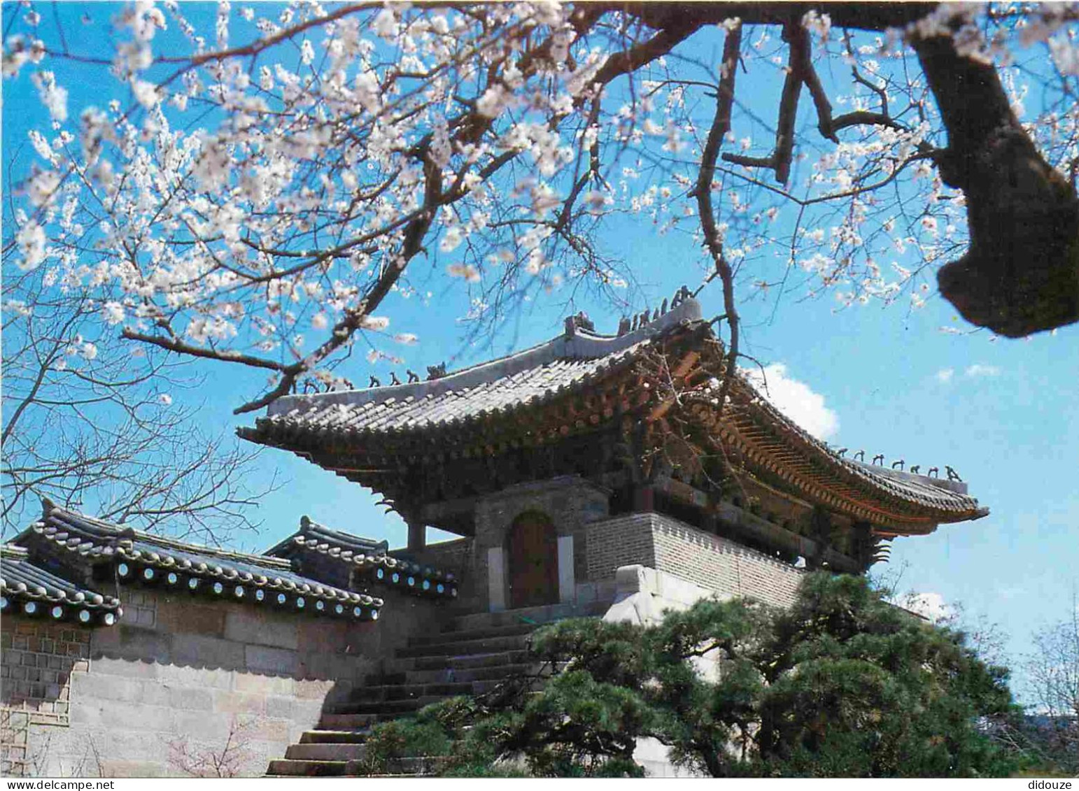 Corée du Sud - Séoul - Kyomch'unmun Gate - CPM - Voir Scans Recto-Verso