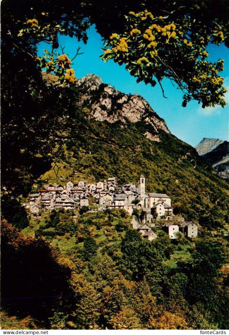Corippo Verzasca TI Panorama Valle Verzasca