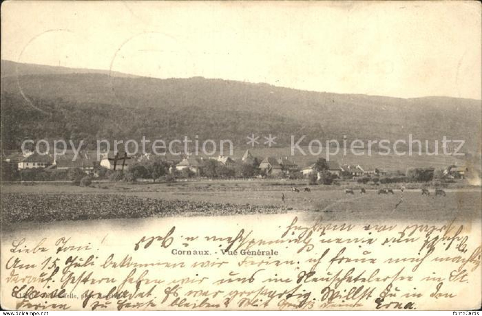 Cornaux Vue Gènèrale