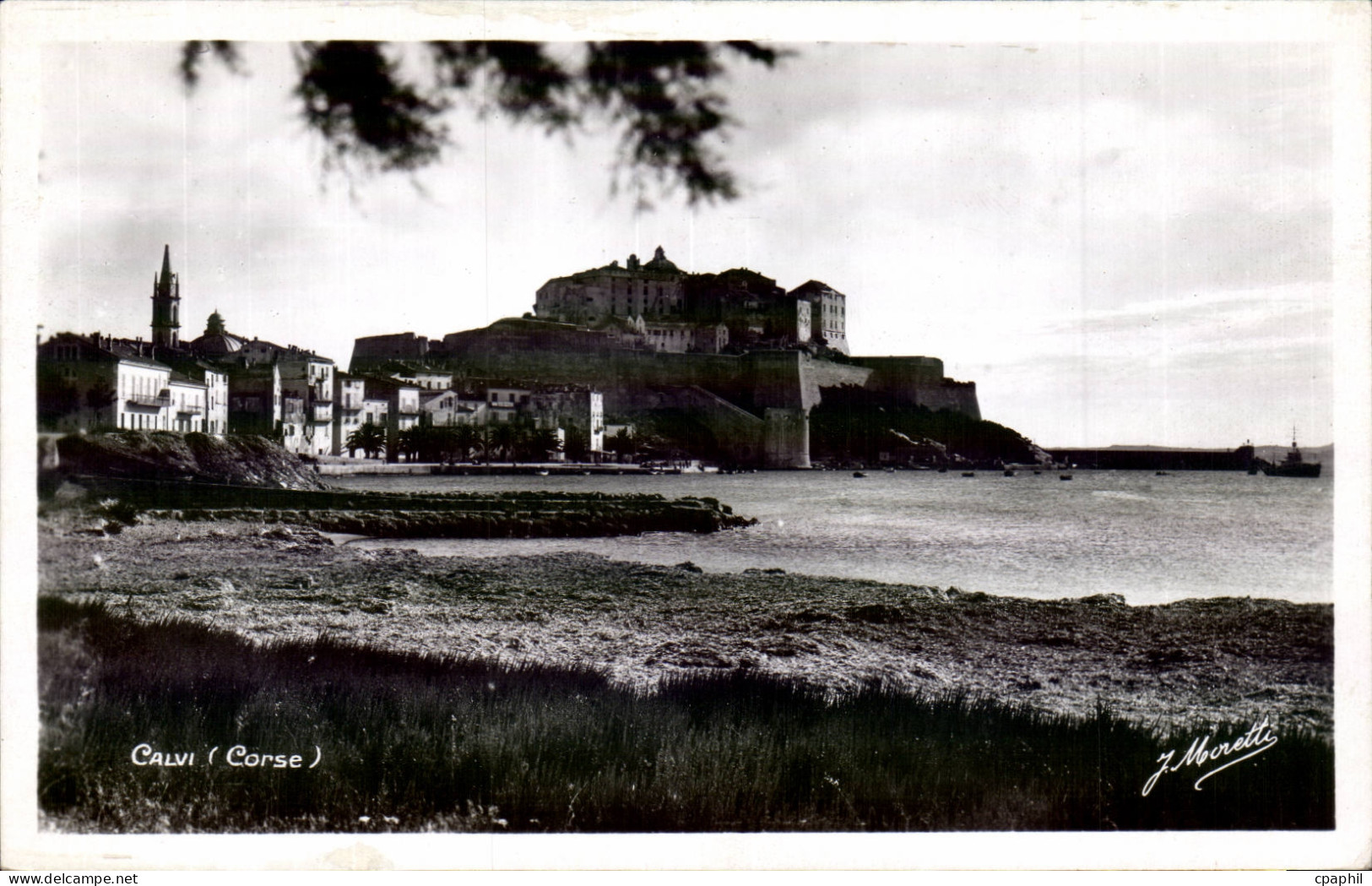 Corse - Haute Corse - Corsica - Calvi - CPA