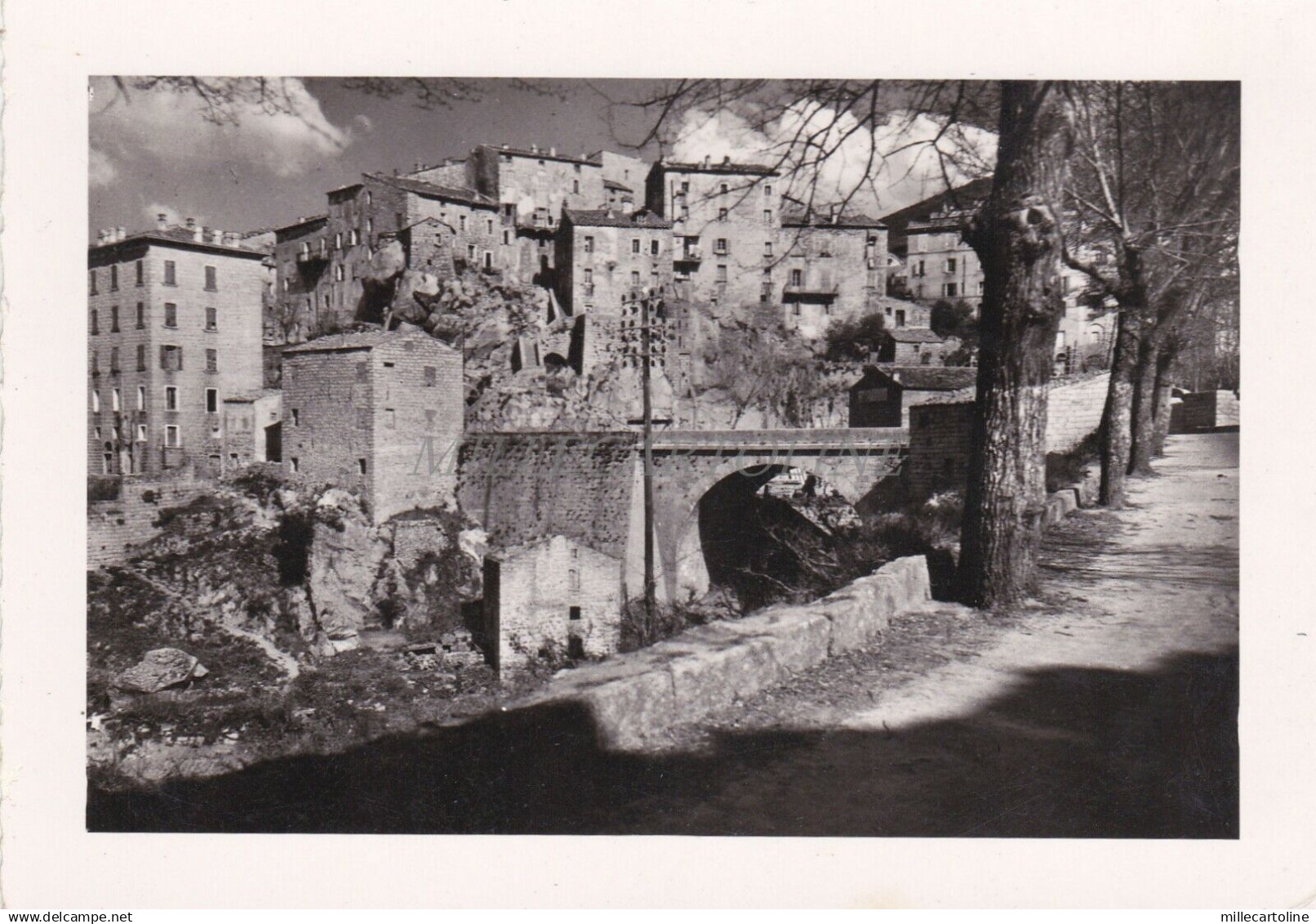 CORSE - Sartene - Entrée - Photo Postcard
