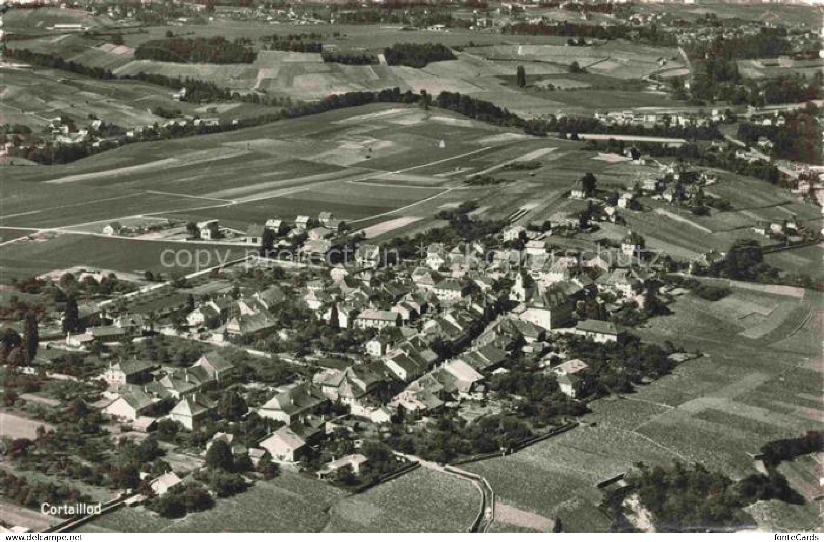 Cortaillod Boudry NE Fliegeraufnahme