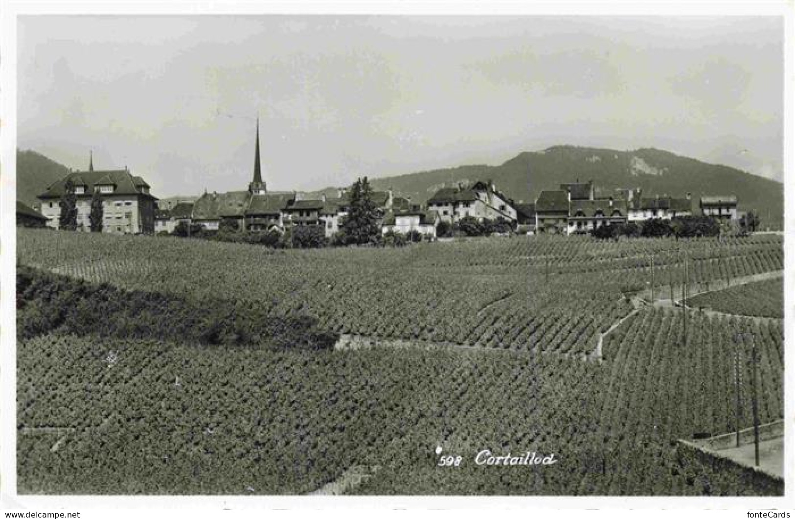 Cortaillod NE Panorama