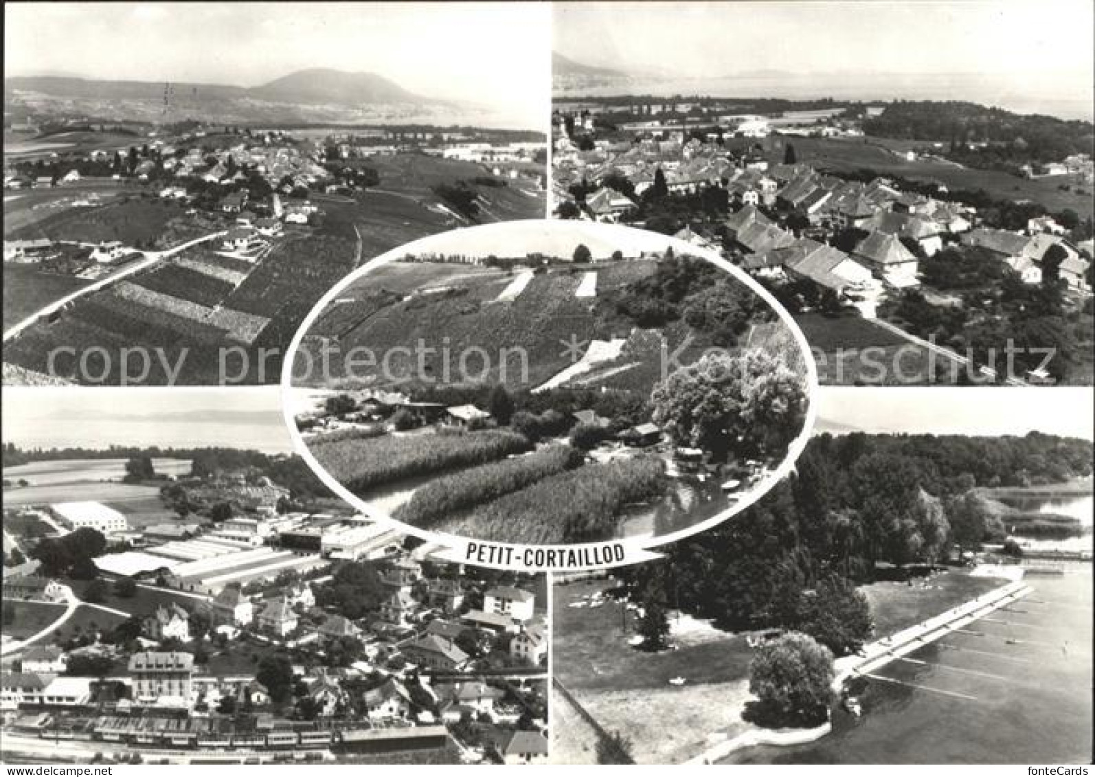 Cortaillod Panorama Petit Cortaillod