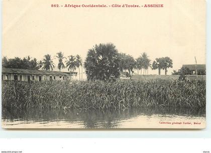 ASSINIE