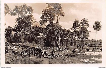Côte d'Ivoire - ABIDJAN - Laveuses au marigot d'Adjamé - Ed. C.F.A.O. 12