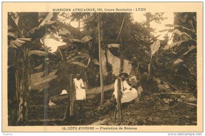 PLANTATION DE BONOUA