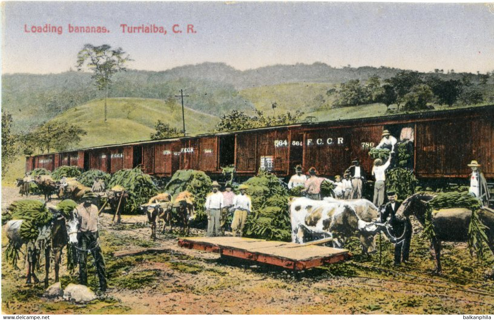 Costa Rica Turrialba Loading Bananas to Train