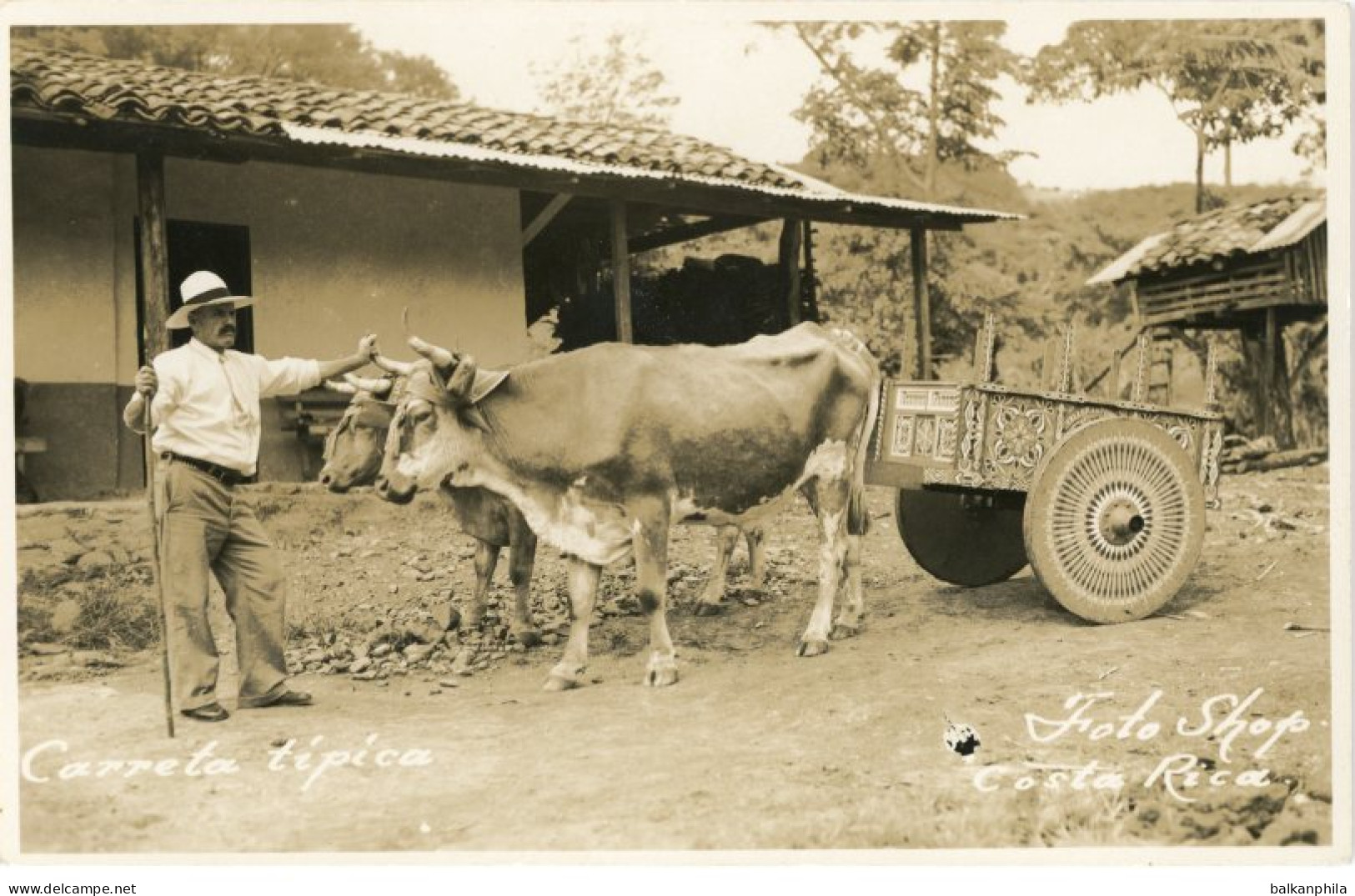 Costa Rica Typical Ox Cart photocard