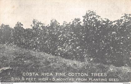 Costa Rica Fine Cotton Trees vintage postcard B948