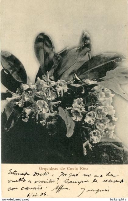 Costa Rica Orchids 1906 to Goteborg Sweden